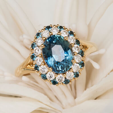 Collection ella banner