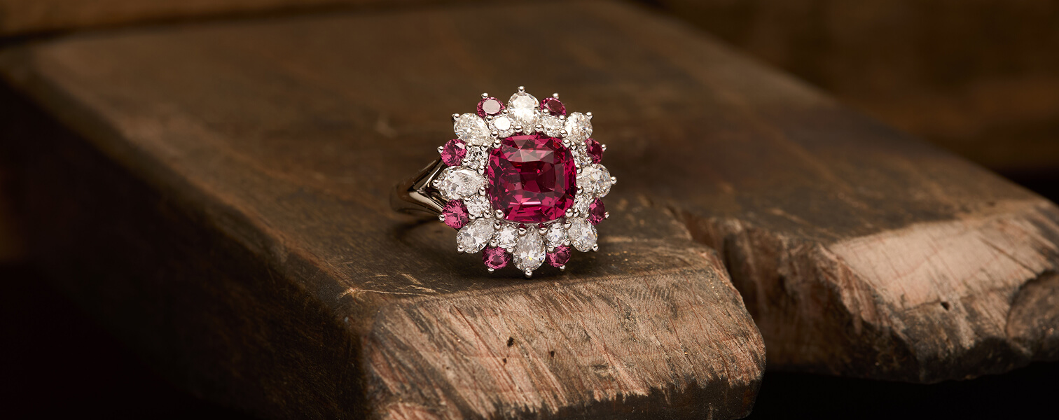 Collection colombo banner