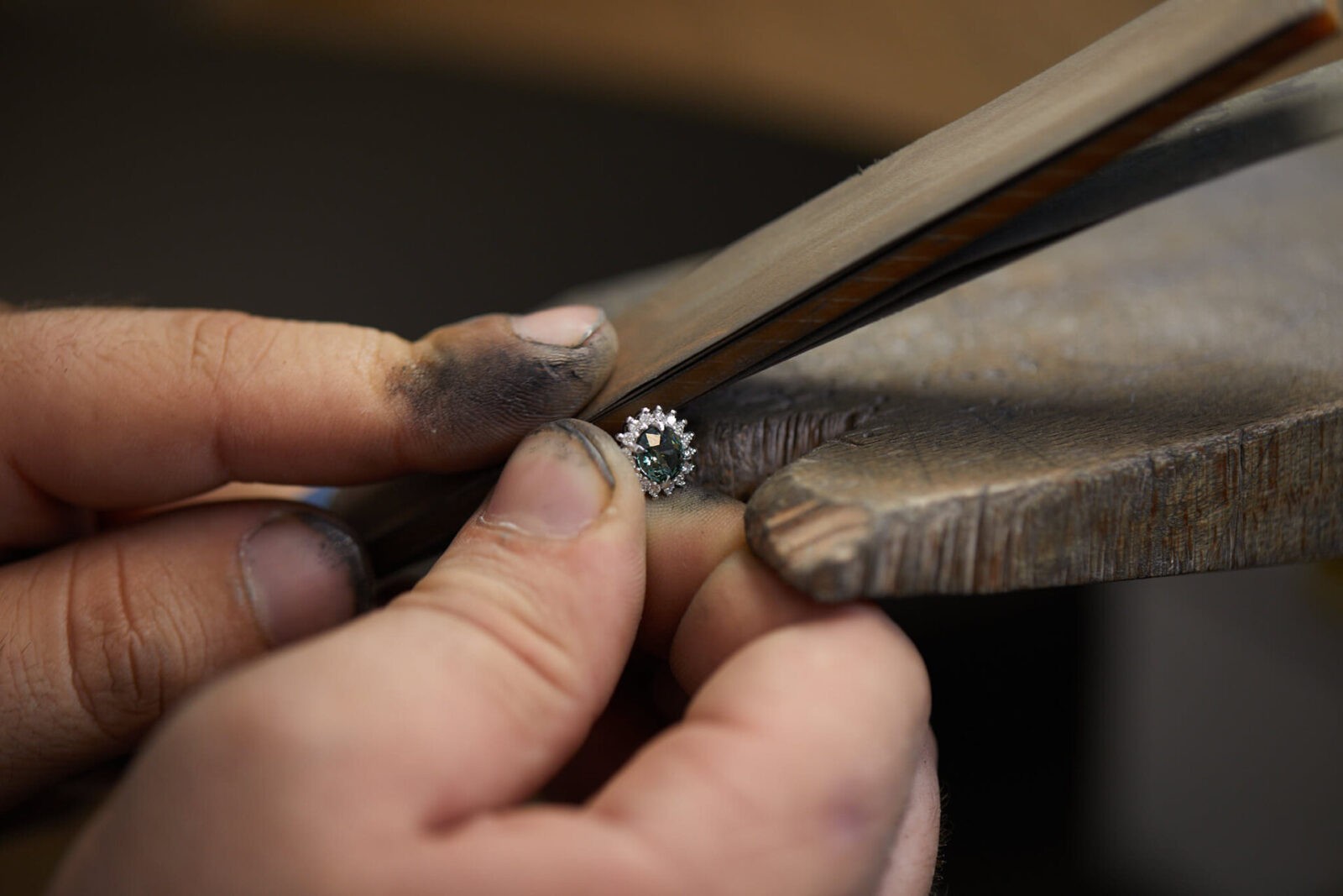 Collection ella banner