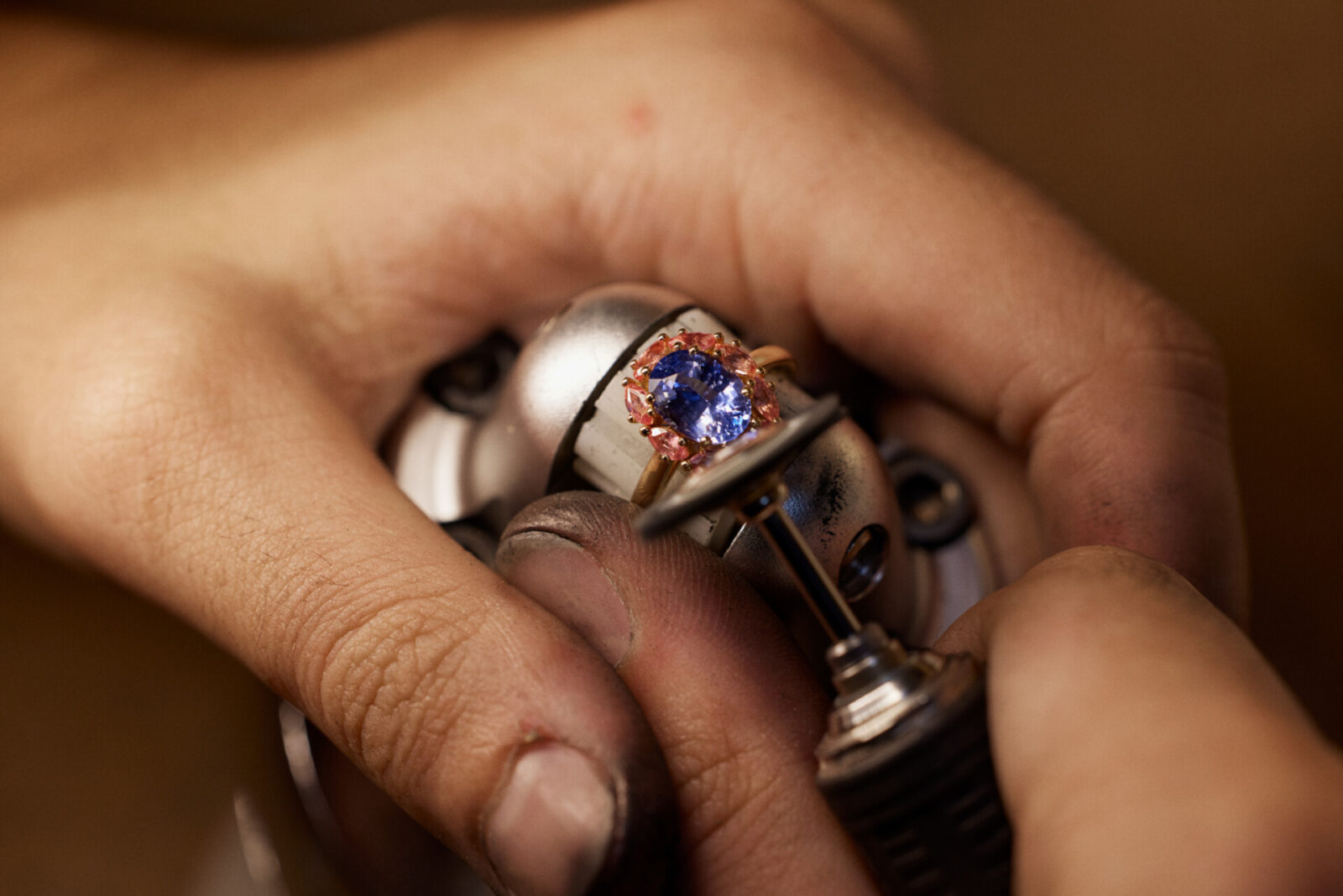 Collection ella banner