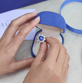 Maison Avani Whatsapp