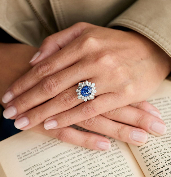 Collection ella banner