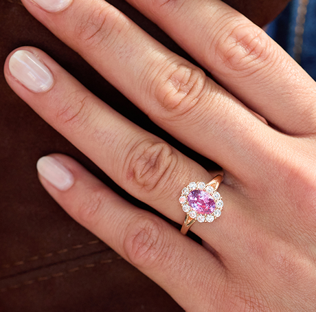 Saphir Rose