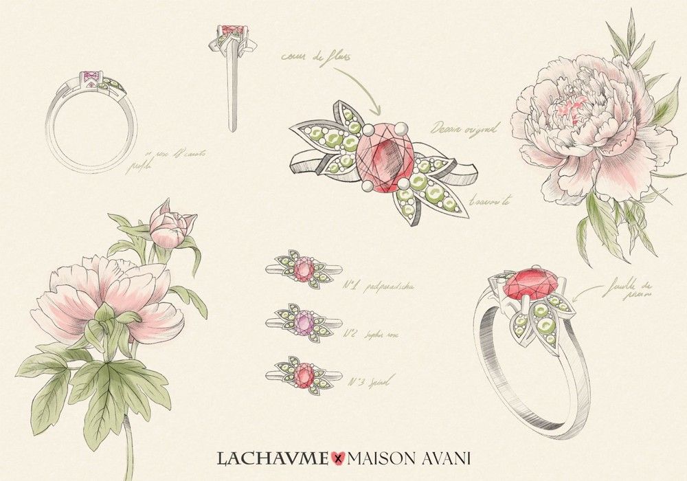 Collection Paeonia